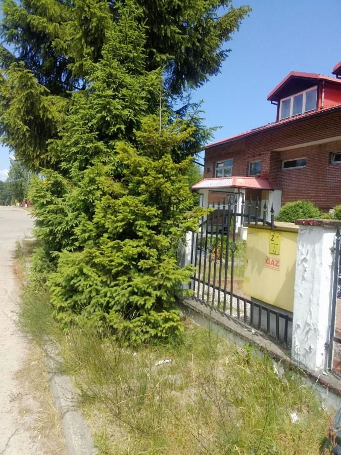 Отели типа «постель и завтрак» Pensionatas Borowo